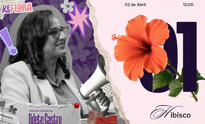 Case Reflora: branding, naming, socialmedia e audiovisual